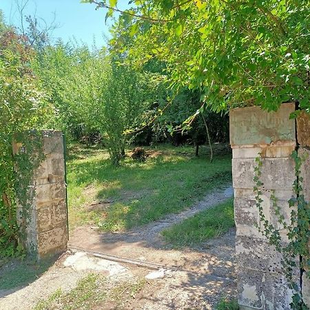 Molieres-sur-CezeLa Colline Aux Oiseaux, La Tranquillite Des Bois别墅 外观 照片